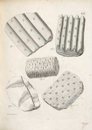 Die Petrefactenkunde auf ihrem jetzigen Standpunkte : durch die Beschreibung seiner Sammlung versteinerter und fossiler Überreste des Thier- und Pflanzenreichs der Vorwelt erläutert, [1a]. XV Kupfertafeln zu B. von Schlotheim's Petrefactenkunde