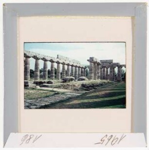 Paestum: Basilika, Innenraum und Pronaos (Foto 1965)