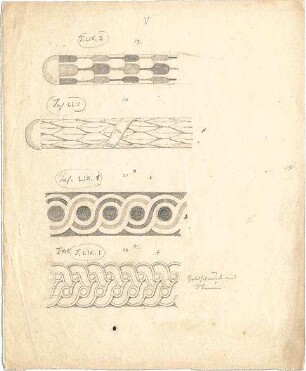 Neureuther, Gottfried von; Kapitell- und Ornamentstudien - Ornamente (Details)