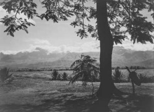 Die Uluguru-Berge : Blick auf die Uluguru-Berge