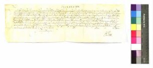 Indulgenzbrief des Papsts Innocenz X., für das Ritterstift Comburg auf sieben Jahre gültig, betreffend einen vollständigen Ablass für den Besuch der Kirche daselbst zu gewissen Zeiten