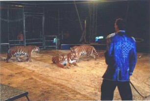 Circus Berolina, ohne Ortsangabe, 2003-2007