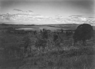 Savanne : Savanne in Kenia