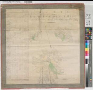 Rengering (Ostbevern) Grundstücke der Domäne mit Vermeßregister (1823) 1824 200 Ruten = 12,3 cm 64 x 63 kol. Zeichnung; reduziert nach der Hauptkarte Richter, Geometer KSM Nr. 685