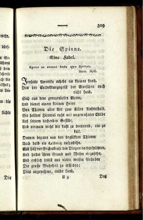 Die Spinne.