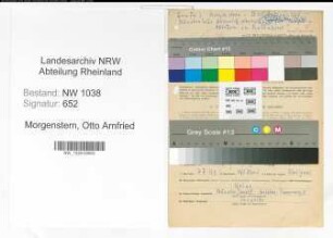 Entnazifizierung Otto Arnfried Morgenstern , geb. 16.12.1907 (Lehrer)