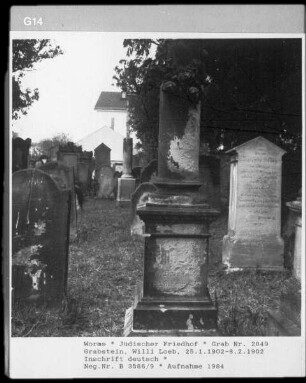 Grabstein von Willi Loeb (gestorben 1902.02.08)