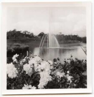 Deutsche Gartenschau 1950 auf dem Killesberg, Stuttgart: Wasserbecken mit Fontäne
