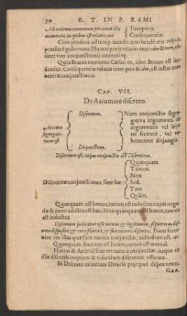 Cap. VII. De Axiomate discreto.