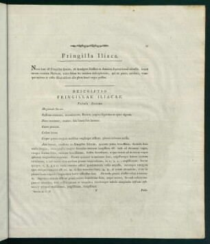 37-38, Fringilla Iliaca