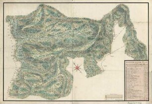 Geometrischer Plan von dem Friesenheimer Hoh-Wald