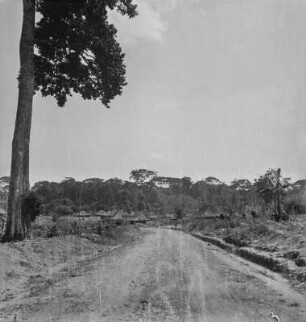 Straße : Blick entlang der Straße, rechts ein Dorf