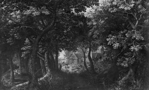 Waldlandschaft