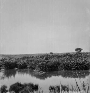Staubecken : Panorama auf ein Staubecken des Rutshuru