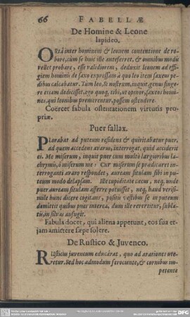 Puer fallax