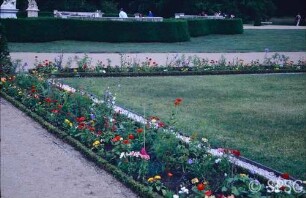 Potsdam, Park Sanssouci, Parterre Große Fontäne, Rabatte mit Blumenbepflanzung.