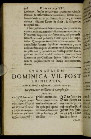 Evangelium Dominica VII. Post Trinitatis.