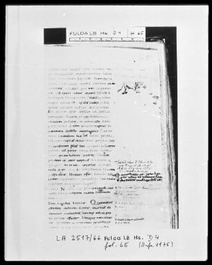 Codex Justinianeus — Ein nashornartiges Tier, Folio 65recto