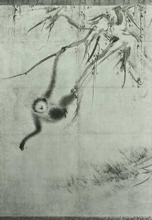 Affen auf einem dürren Baum