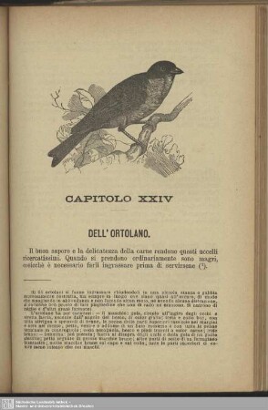 Capitolo XXIV. Dell'ortolano