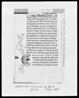 Psalterium cum Canticis — Initiale E mit Randausläufer und einem Adler, Folio 66verso