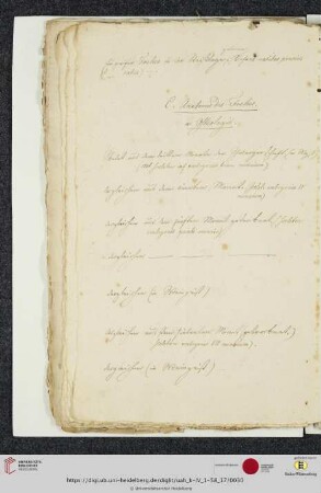a. Osteologie