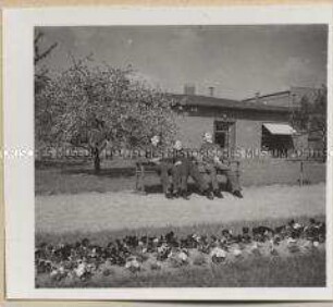Halle an der Saale, Siebel-Flugzeugwerke KG