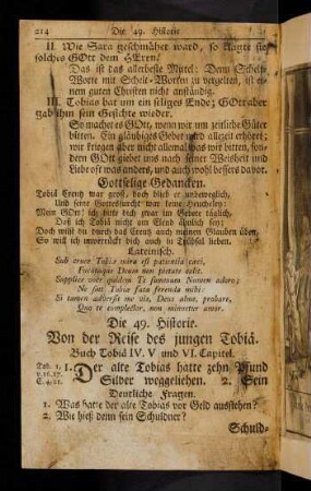 214-219, Die 49. Historie