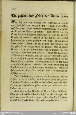 Ein gefährlicher Feind der Runkelrüben