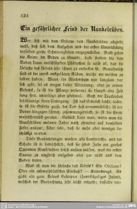 Ein gefährlicher Feind der Runkelrüben