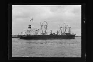 Bertram Rickmers (1979), Frachtschiff, Rickmers-Linie KG, Hamburg, Bau-Nr. 1013