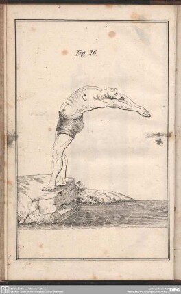 Fig. 26