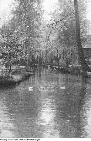 Spreewald, Kulturgruppe Lübben, Lübbenau-Lehde, April 1952