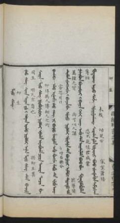 Lio šeng = 柳生