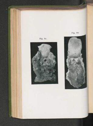 Fig. 81. Fig. 82.