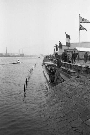 Hochwasser des Rheins.