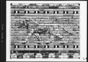 Berlin. Staatliche Museen, Vorderasiatisches Museum, Löwen-Relief der Thronsaalfassade
