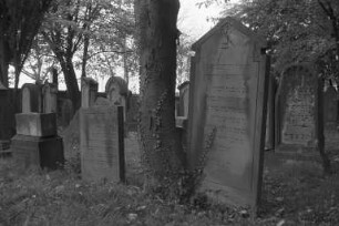 Alter Jüdischer Friedhof in der Kriegsstraße