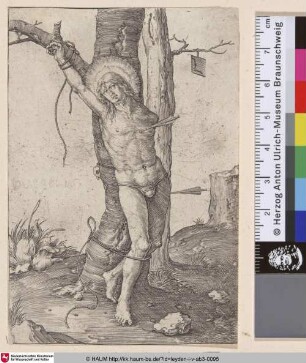 [Der heilige Sebastian; St Sebastian]