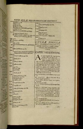 Literae Singulares, [...]. Caput Vigesimum