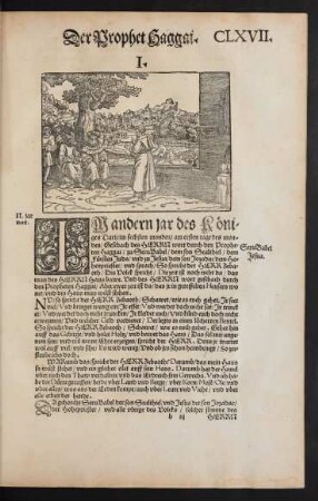 Der Prophet Haggai.
