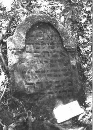 Grabstein 1085 (Index: 99899732) Material: Sandstein Zustand: stark verwittert, Stele liegt Maße HxBxT: 98x63x14 cm Beschreibung: Stele mit eingezogenem Rundbogenabschluss, Seitenrahmen als Säulen gearbeitet, Stele umgestürzt, liegt: Grabstein 1085