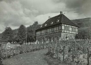 Schloss Hoflößnitz : Radebeul. Schloss Hoflößnitz