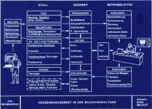 Herdenmanagement in der Milchviehhaltung