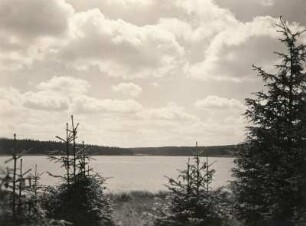 Vogtland. Die Talsperre bei Muldenberg, südlich Auerbach