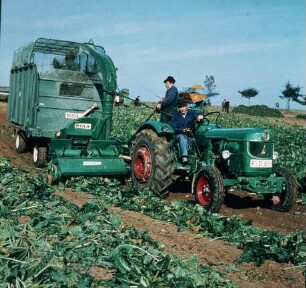 Fotografie: Erntetechnik, Zuckerrübe, Blattbergung, Feldhäcksler gezogen, Pickup, Automatikwagen