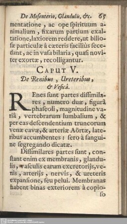 Caput V. De Renibus, Ureteribus, & Vesica