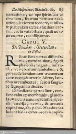 Caput V. De Renibus, Ureteribus, & Vesica