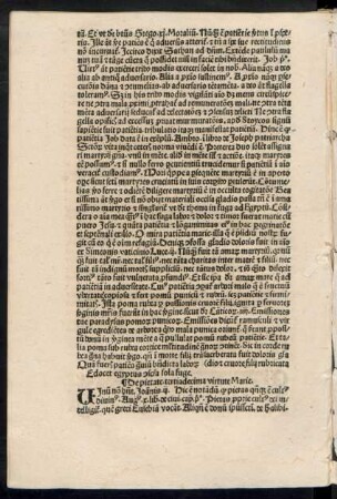 De pietate. tertiadecima virtute Marie.