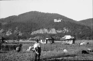 Cetatea Neamt: Burg